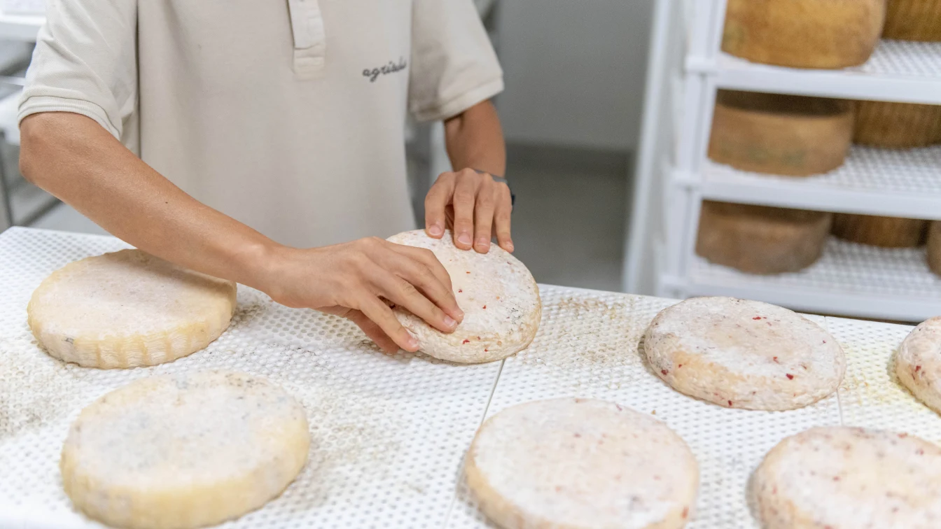 Köstlichkeiten aus unserer Milch - Käserei Arco