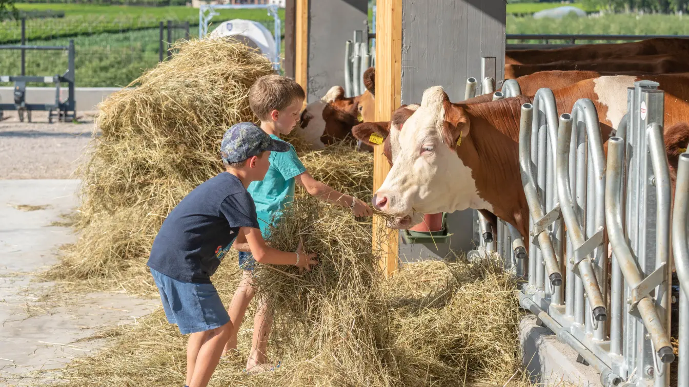 Esperienza piccoli contadini - fattoria didattica Agrisalus