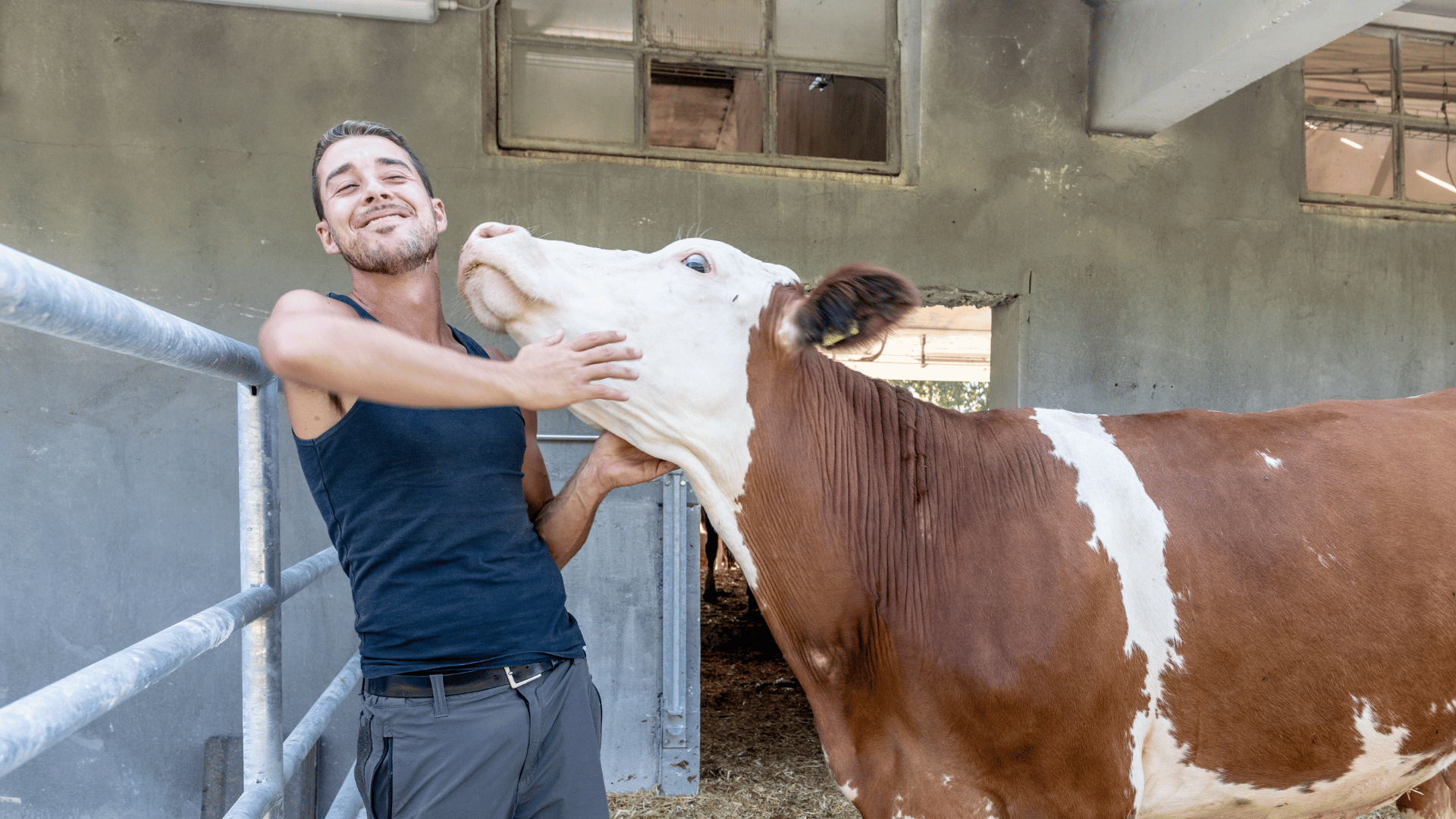 Paddock esterno - Agrisalus Allevamenti