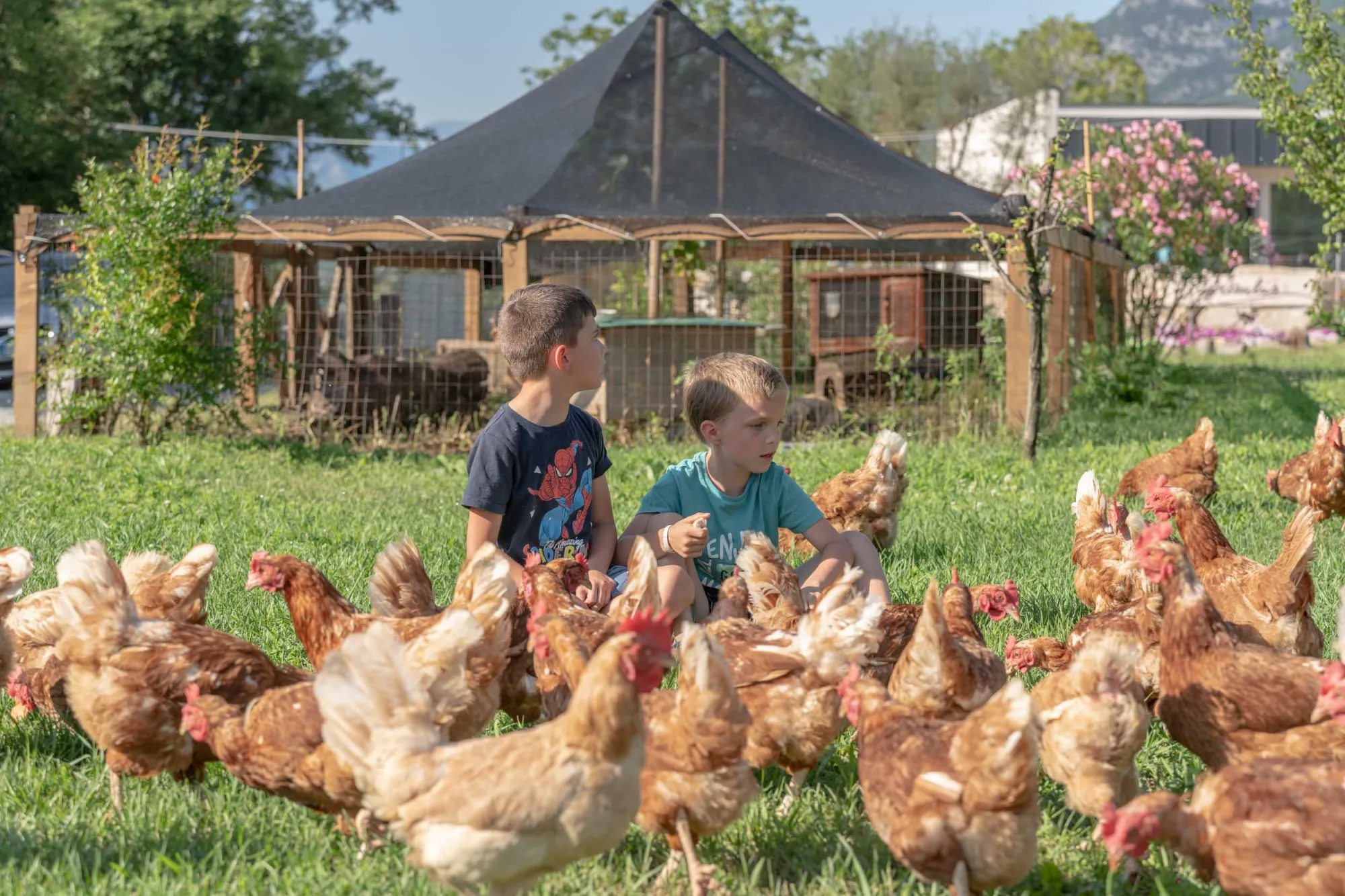 Giornata in fattoria - scuole agrisalus