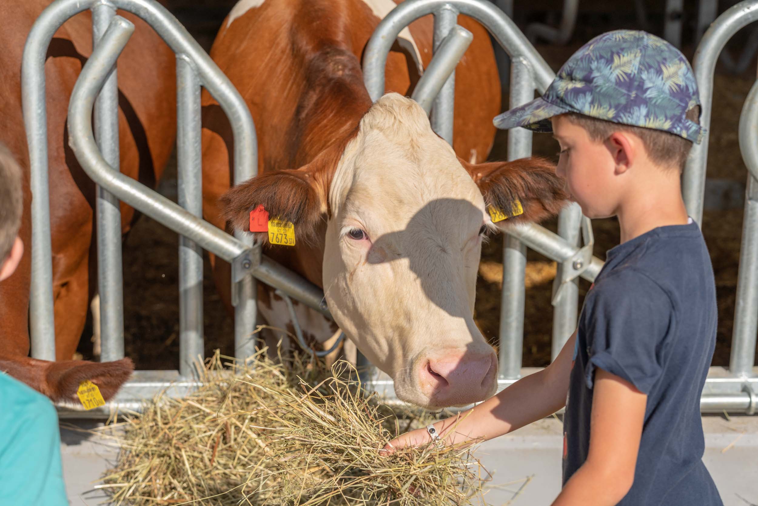 Progetti educativi per gruppi scolastici - scuole agrisalus