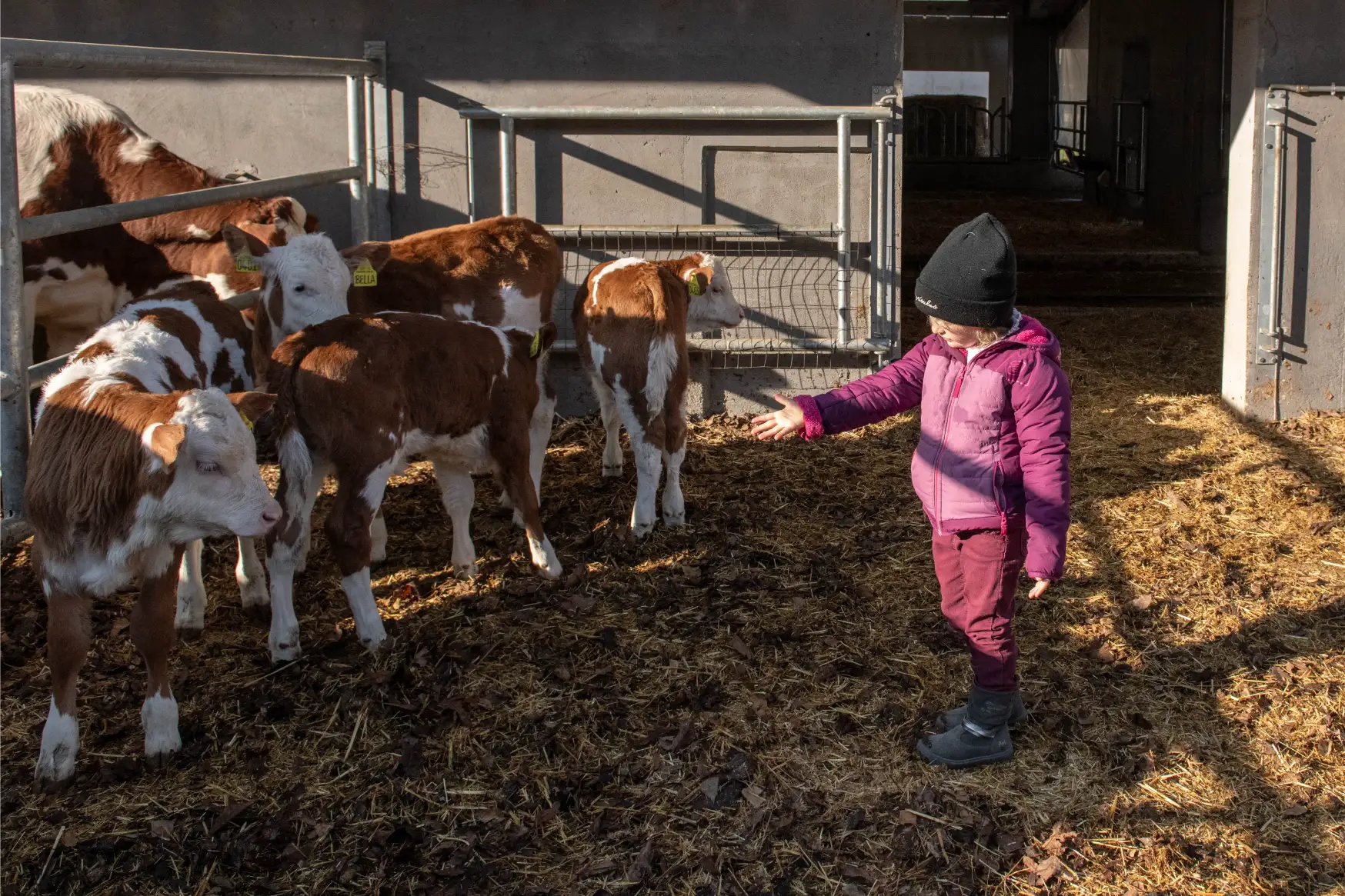 i nostri allevamenti - agrisalus