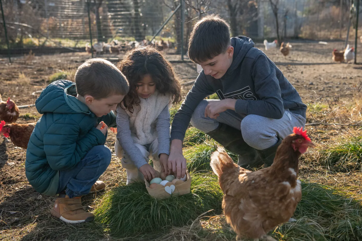 scuole - giornata in fattoria Fattoria didattica - Agricampeggio Arco