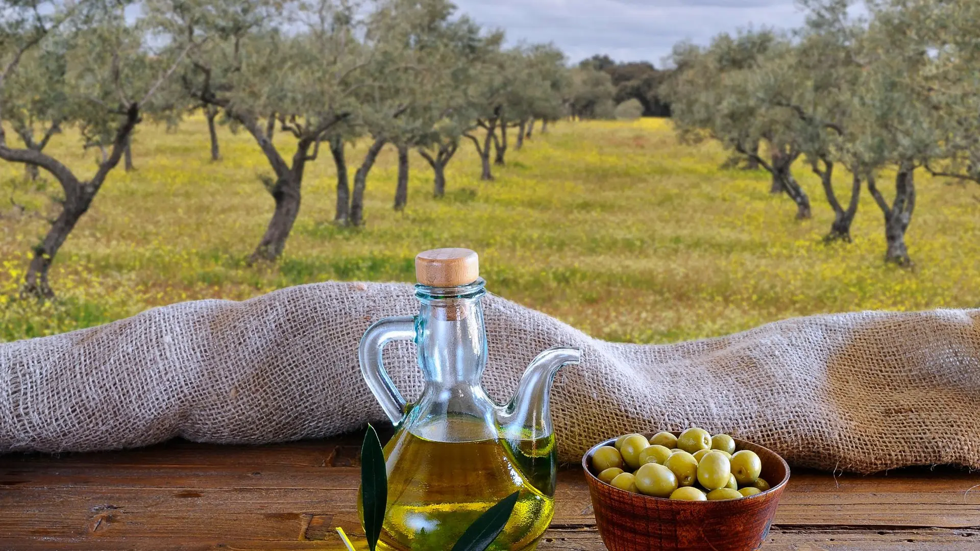 Il nuovo olio di agrisalus - riva del garda