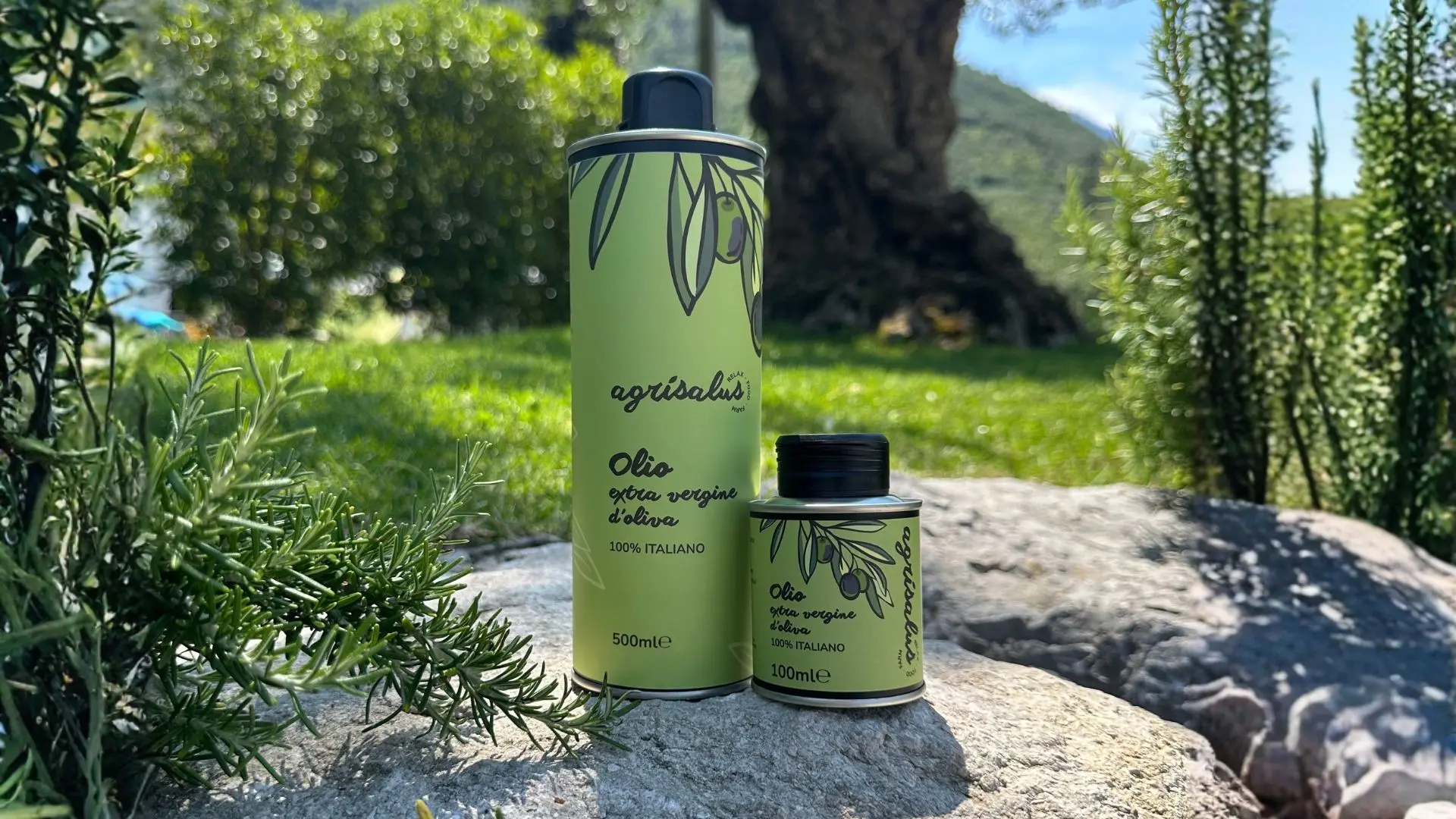 Prova olio del trentino - agrisalus