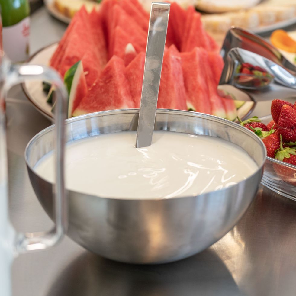 Yougurt e latticini - Agrisalus Arco